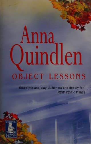 Cover image for Object lessons