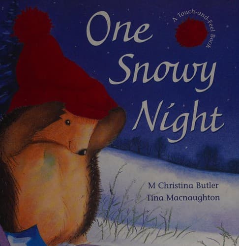 Cover image for One snowy night