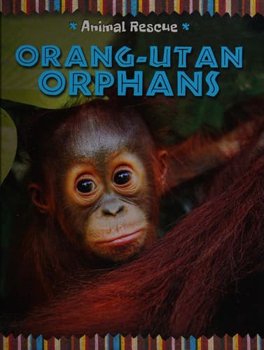 Cover image for Orang-utan Orphans