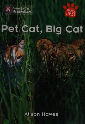 Cover image for Pet cat, big cat