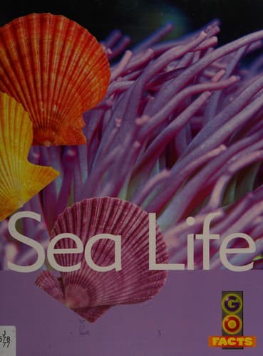 Cover image for Sea life