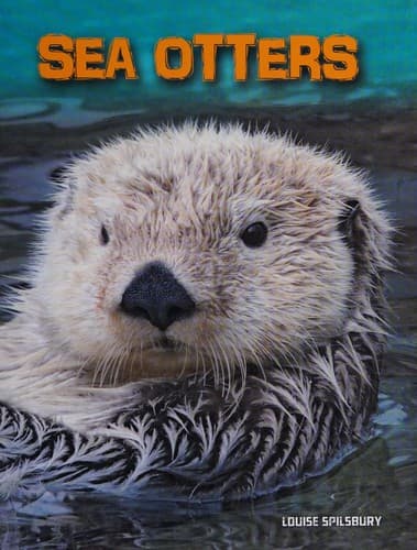 Cover image for Sea otters