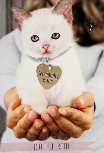 Cover image for Serendipity & me