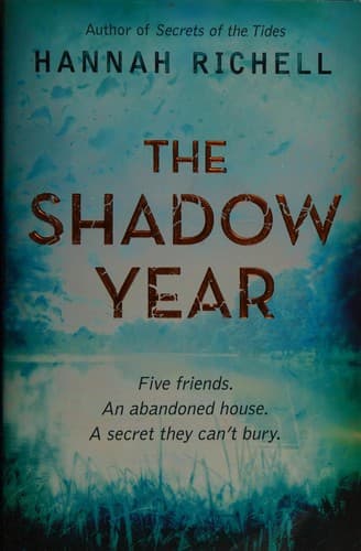 Cover image for The shadow year