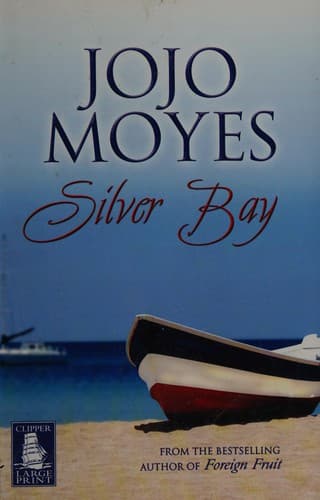 Cover image for Silver Bay