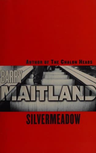 Cover image for Silvermeadow
