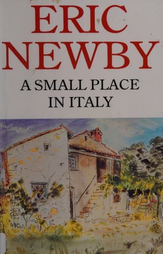 Cover image for A small place in Italy
