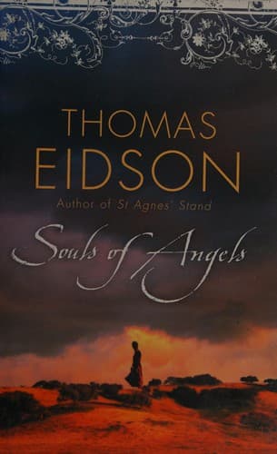 Cover image for Souls of angels