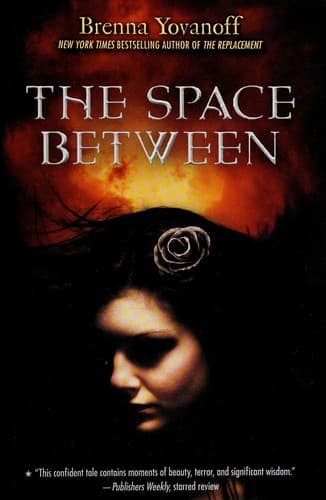 Cover image for The Space Between