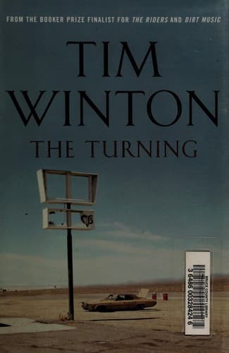 Cover image for The turning