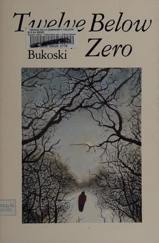 Cover image for Twelve below zero