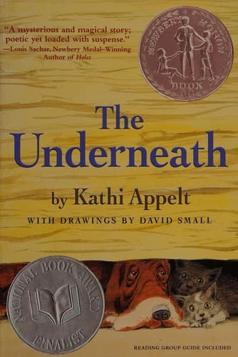 Cover image for The underneath