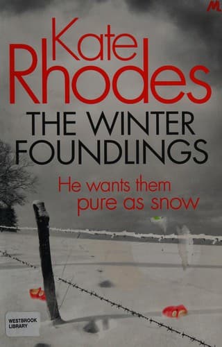 Cover image for The Winter Foundlings