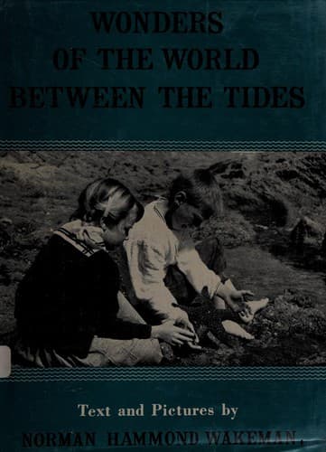 Wonders of the world between the tides