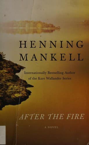 Cover image for After the fire