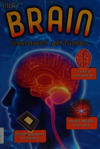Cover image for Your brain