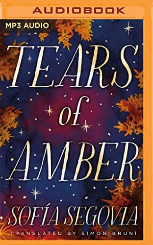 Cover image for Tears of Amber