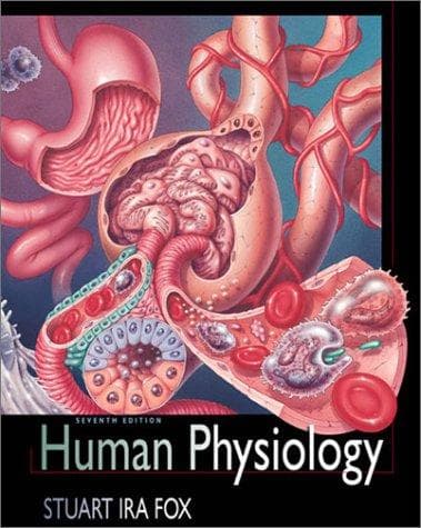 Cover image for MP