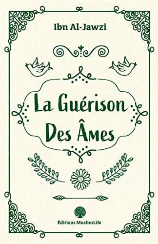 Cover image for La Guérison des Âmes