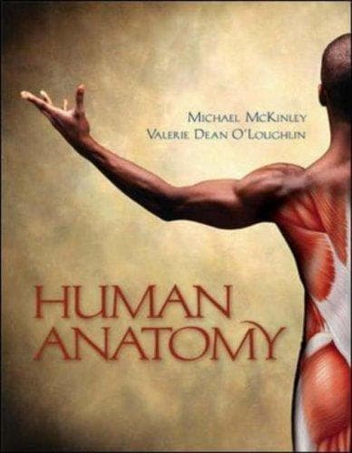 Cover image for Human Anatomy