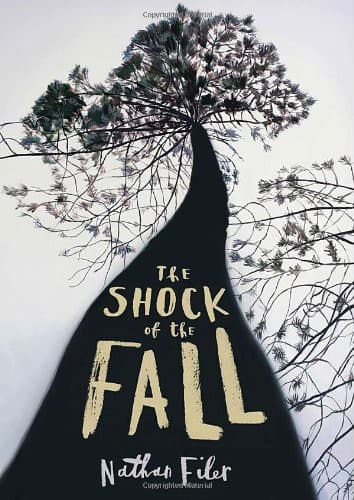 Cover image for The Shock of the Fall