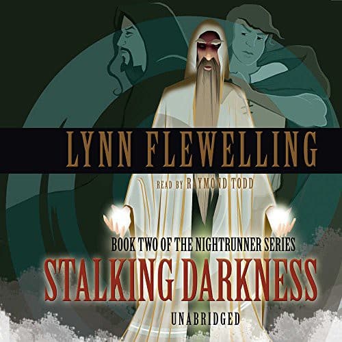 Cover image for Stalking Darkness