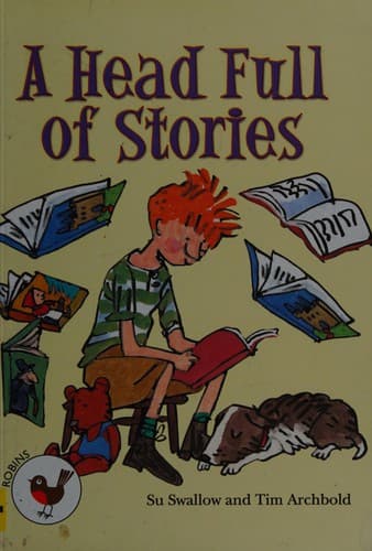 Cover image for A head full of stories