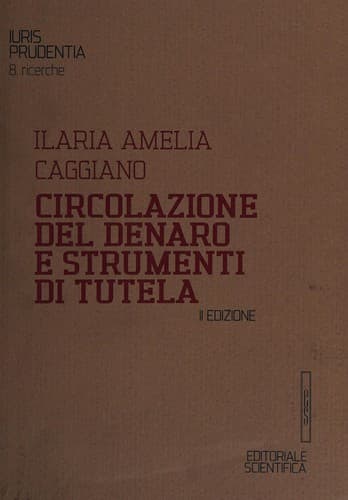 Circolazione del denaro e strumenti di tutela
