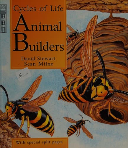 Cover image for Animal builders