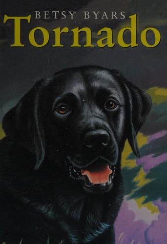 Cover image for Tornado