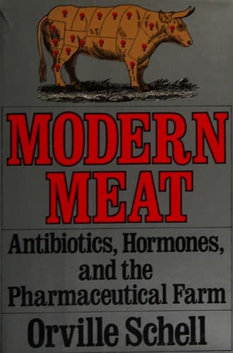 Cover image for Modern meat
