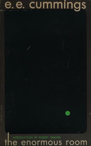 Cover image for The enormous room