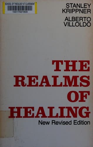 Cover image for The realms of healing