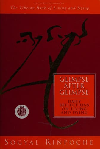 Cover image for Glimpse after glimpse