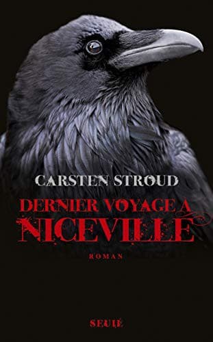 Cover image for Dernier Voyage à Niceville