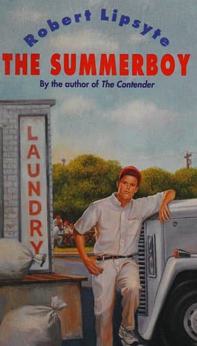 Cover image for The summerboy