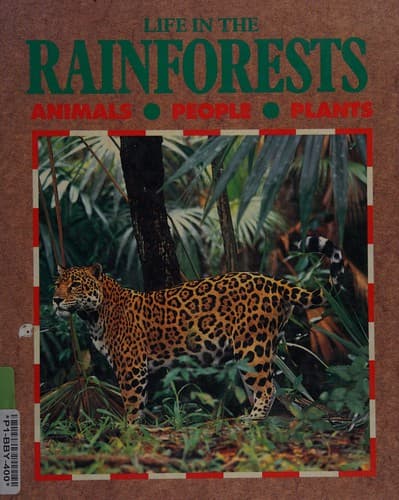 Cover image for Life in the rainforests