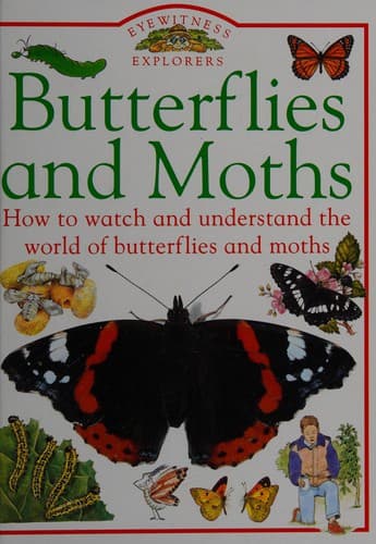 Cover image for Butterflies and Moths