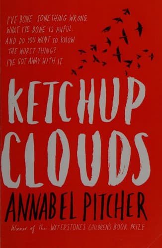 Cover image for Ketchup clouds