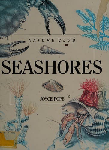 Cover image for Seashores
