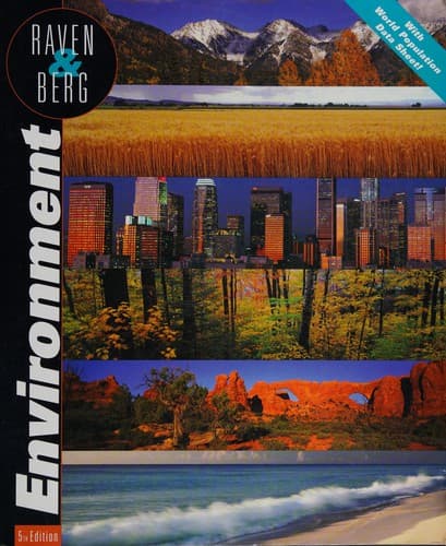 Cover image for Environment