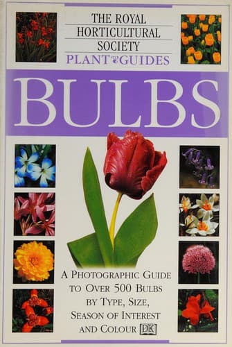 Cover image for Bulbs