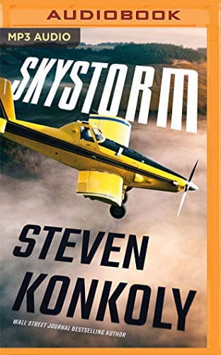Cover image for Skystorm