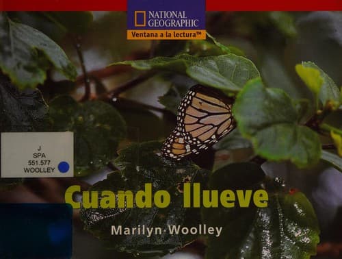 Cover image for Cuando llueve