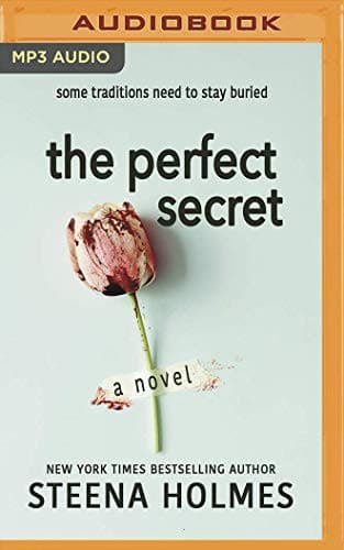 Cover image for The Perfect Secret