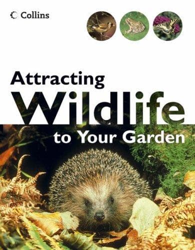 Cover image for Attracting Wildlife to Your Garden