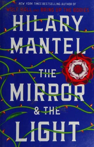 Cover image for The Mirror and the Light