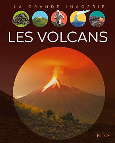 Cover image for Les volcans