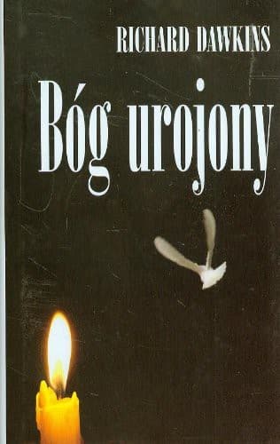 Cover image for Bog urojony