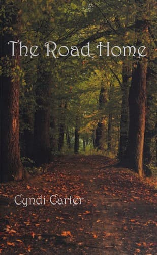 Cover image for The road home